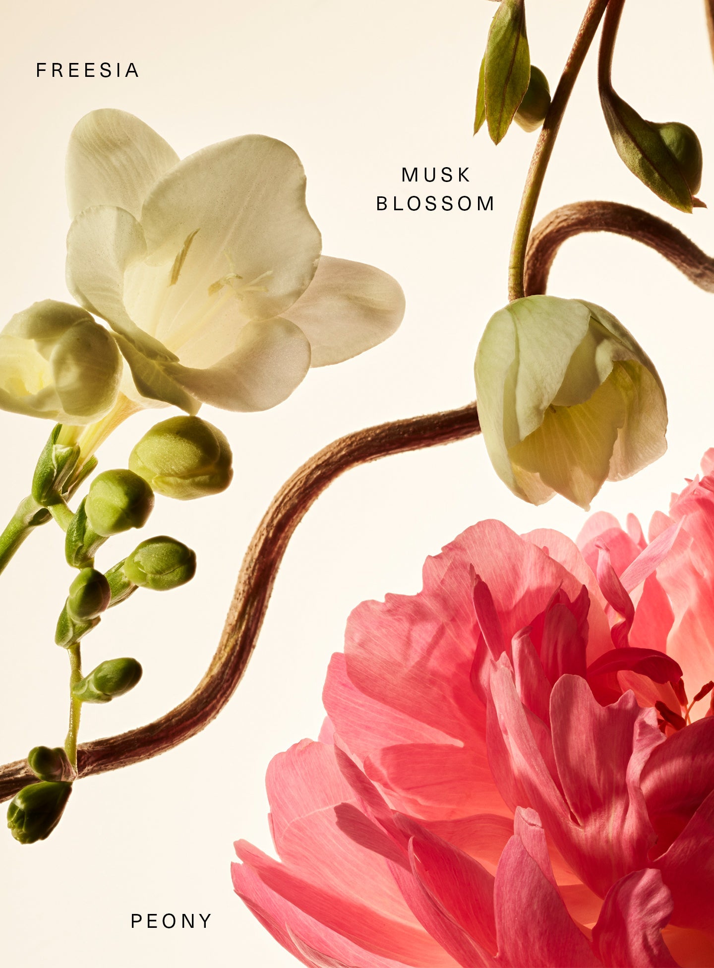 Floral Peony Blossom Fragrance Layering Balm